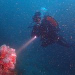 advanced open water la herradura