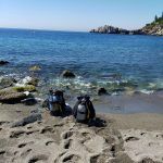 bautizo de buceo la herradura