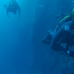 Curso open water la herradura