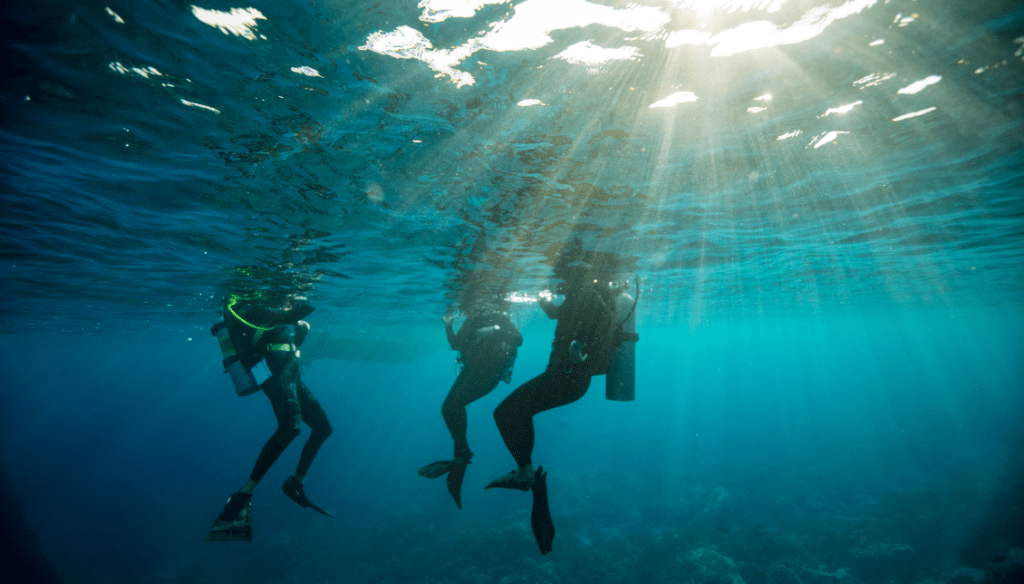 cursos de buceo