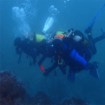 Curso avanzado buceo la herradura