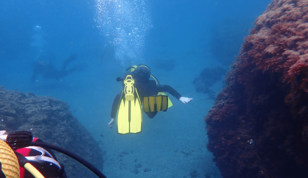 bautismo buceo la herradura