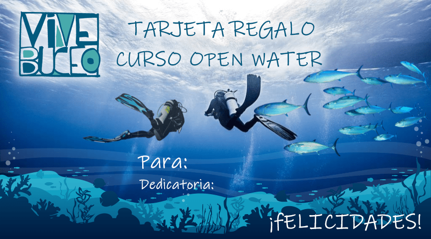 5 Razones para Hacer el Curso Open Water: Open Water Diver (OWD)