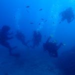 Open Water Diver curso