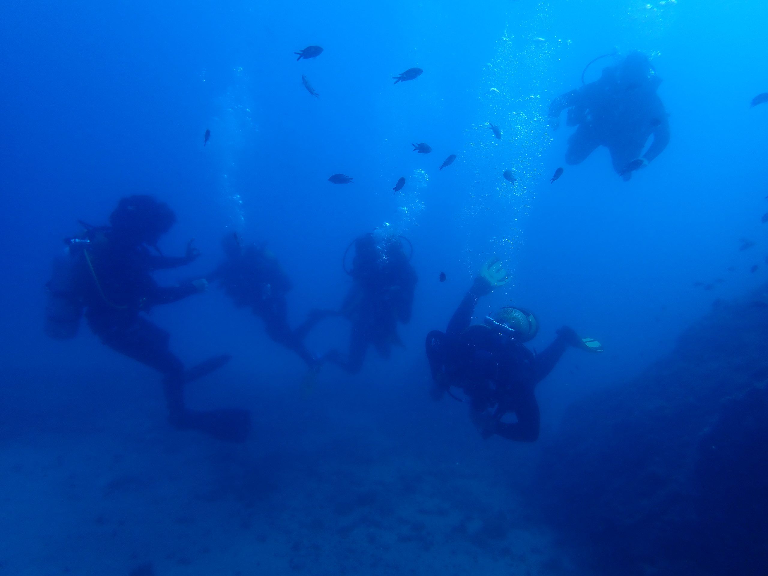 Open Water Diver curso