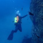salidas buceo la herradura