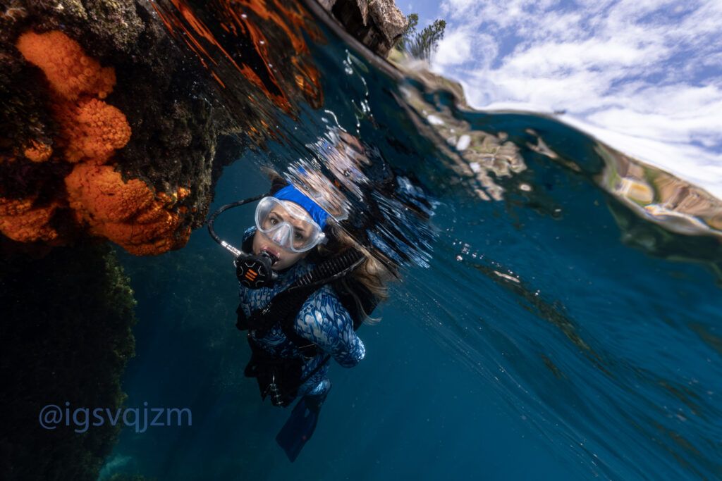 Punta de la Mona Buceo Buceo Punta de La Mona