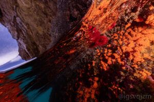 Bucear en la Herradura