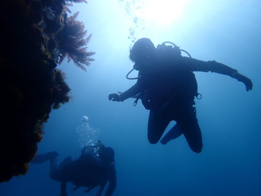 curso buceo la herradura